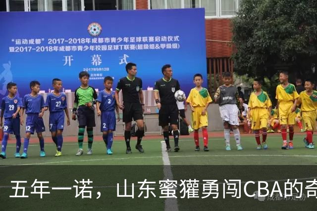 五年一诺，山东蜜獾勇闯CBA的奇幻旅程