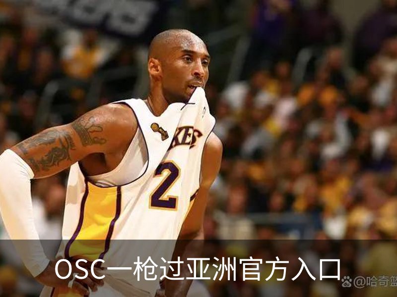 用户常见的问题解答?